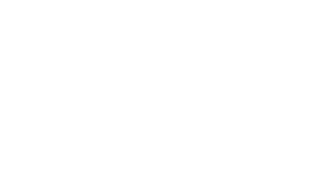 Stainless WallPro